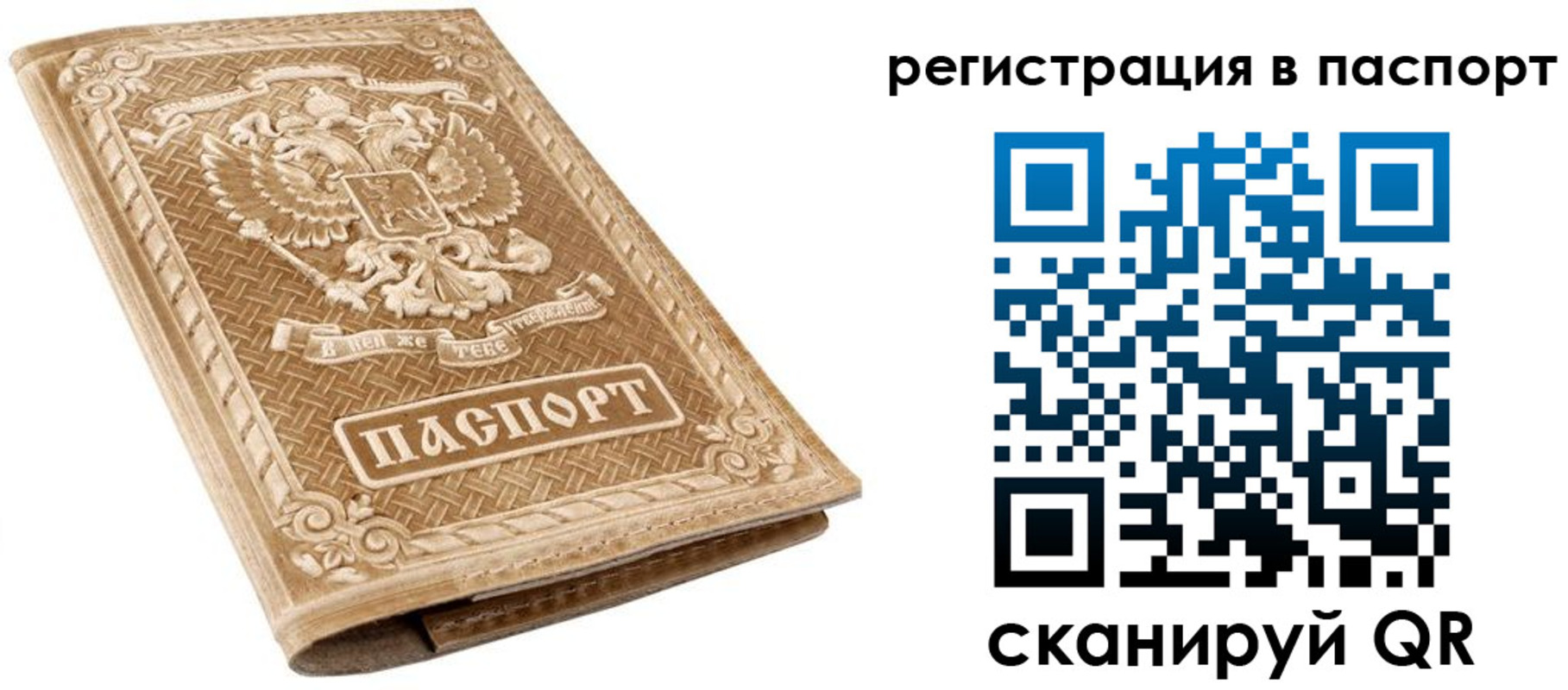 прописка в Алексеевке
